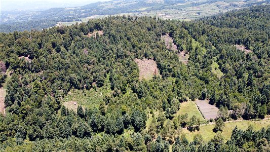 SEIARN_SEIF_DSIA_FERNANDO_VALDEZ_CALDERÓN_DJI_0258