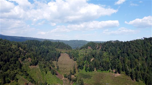 SEIARN_SEIF_DSIA_FERNANDO_VALDEZ_CALDERÓN_DJI_0462