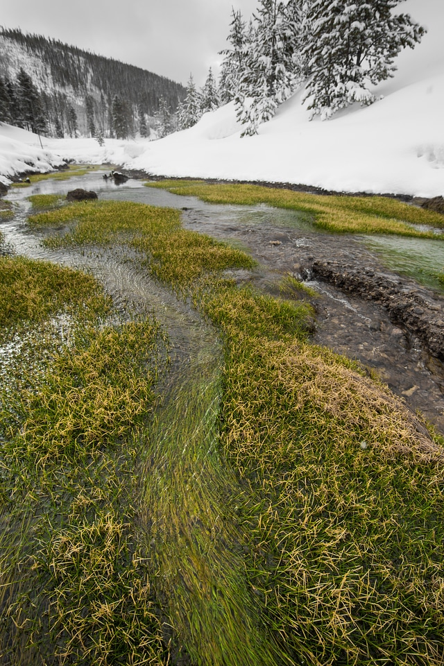 Yellowstone National Park