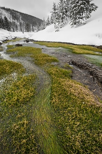 Yellowstone National Park