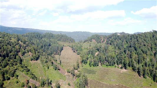 SEIARN_SEIF_DSIA_FERNANDO_VALDEZ_CALDERÓN_DJI_0463