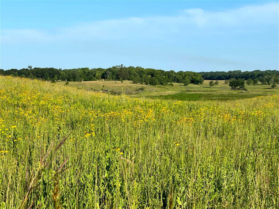 Crow Wing River park Minnesota 2022 Aug