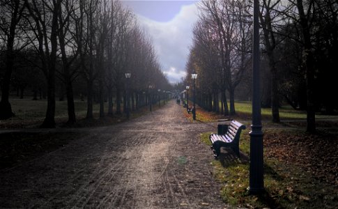 Park with eerie atmosphere photo