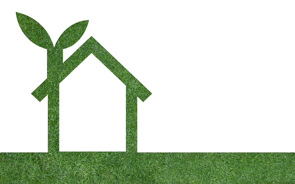 Grass home icon from grass background, isolated on white