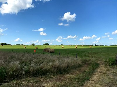 Hay field seen from the trail