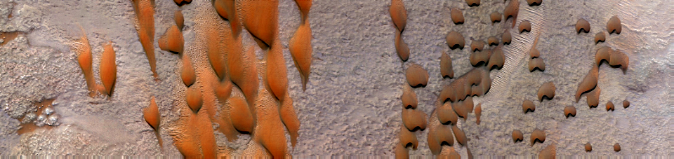 Mars - Dunes in Lyot Crater photo