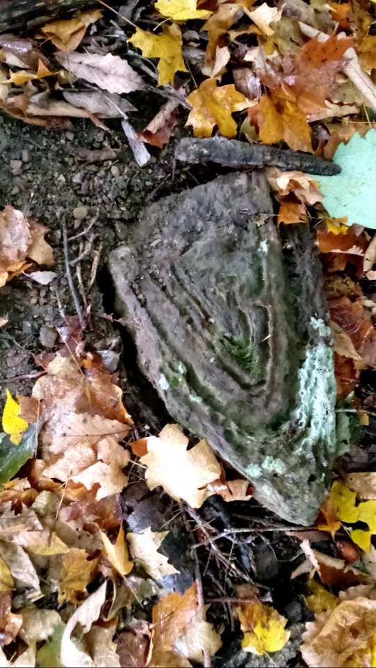 20171025_104254