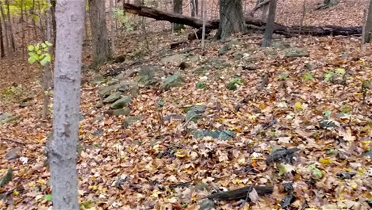 20171025_102858