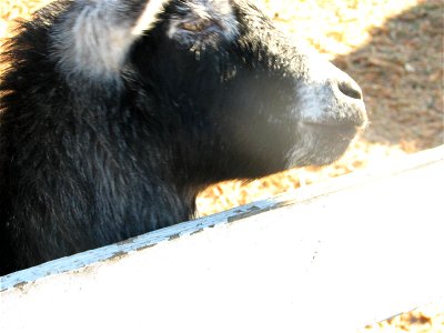 Picture 055