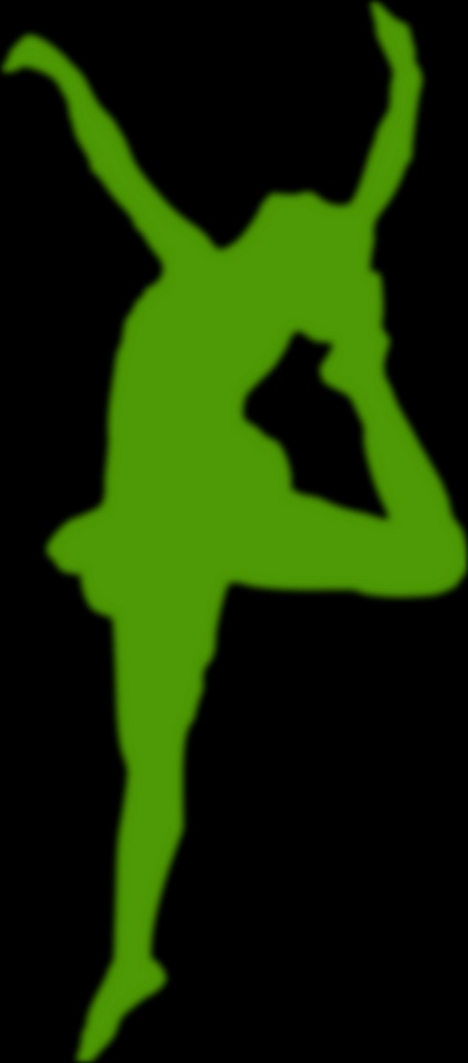 Baton Twirler Silhouette