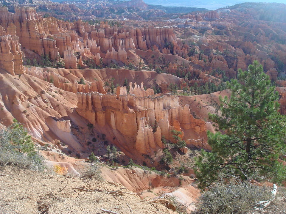 Bryce Canyon National Park, USA photo