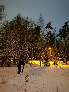 IMG_20210202_174147