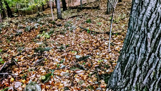 20171025_104330~2