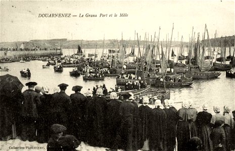 Douarnenez.Le grand port et le môle