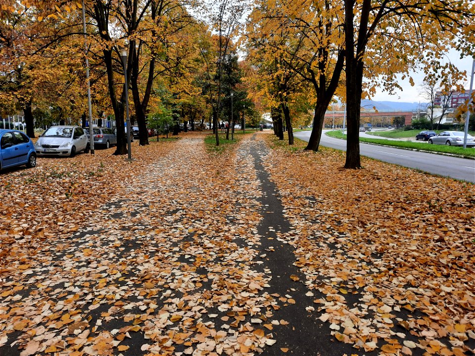 Autumn in bicycle-pedestrian zone of Bulevar Desanke Maksimović, Starčevica, Banja Luka, BiH