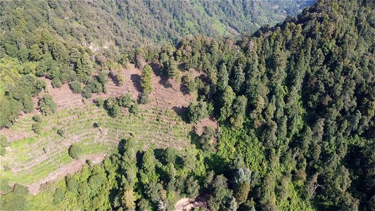 SEIARN_SEIF_DSIA_FERNANDO_VALDEZ_CALDERÓN_DJI_0477