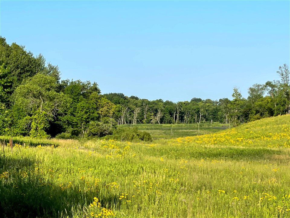 Crow Wing River park Minnesota 2022 Aug