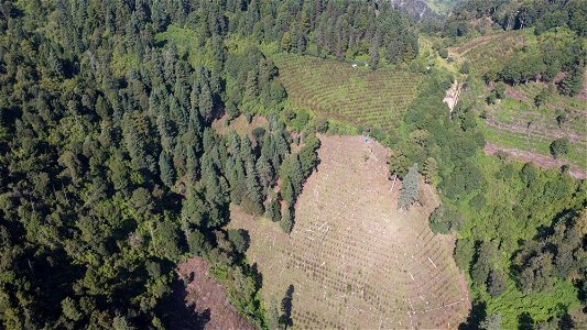 SEIARN_SEIF_DSIA_FERNANDO_VALDEZ_CALDERÓN_DJI_0472