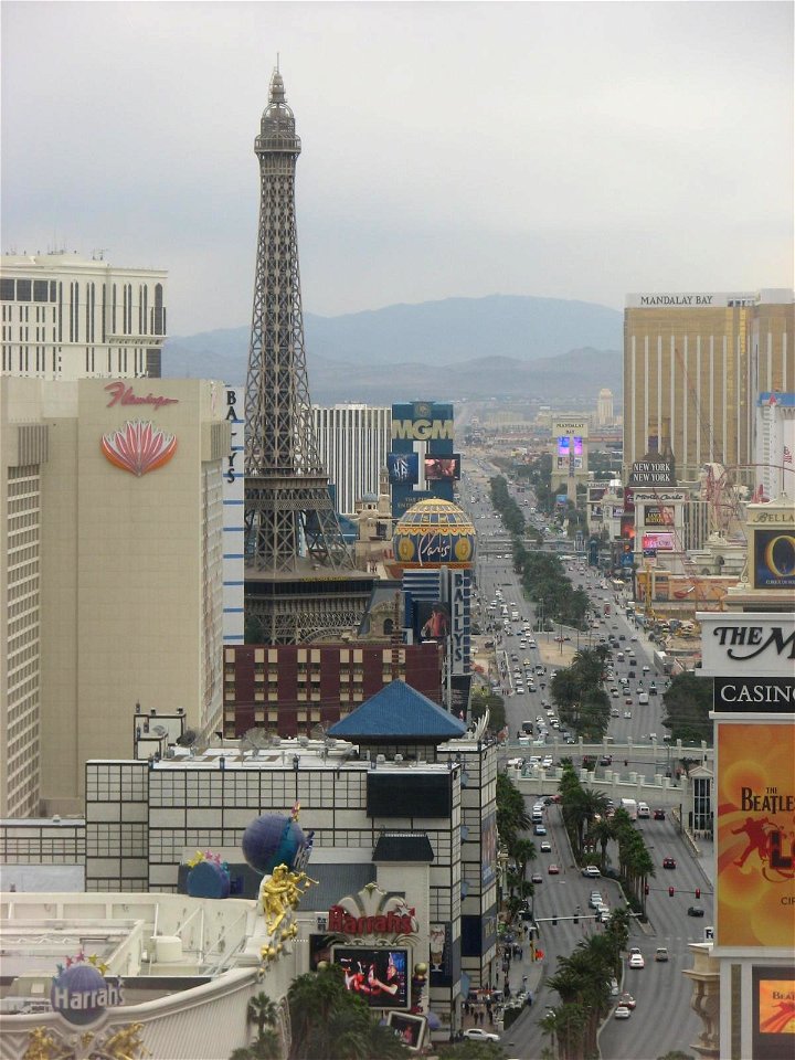 Paris, Flamingo