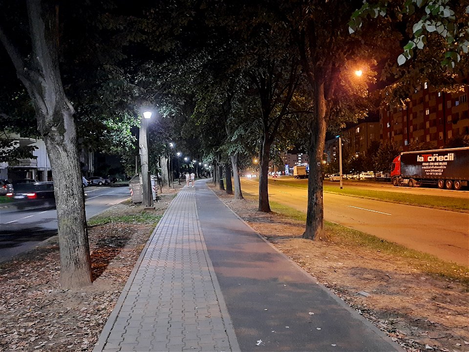 Pedestrian-bicycle zone in Bulevar Desanke Maksimović, Banja Luka, BiH at night (2)
