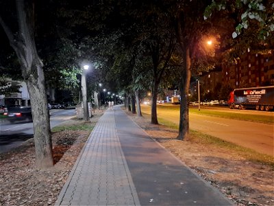 Pedestrian-bicycle zone in Bulevar Desanke Maksimović, Banja Luka, BiH at night (2)