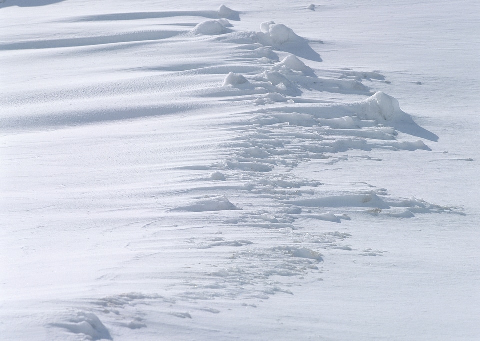 Snow texture for the background