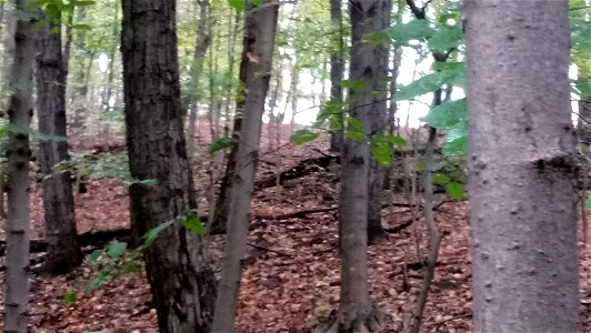 20171025_104820