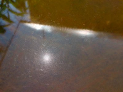Вода в размытии