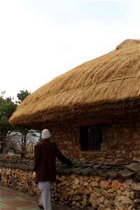 IMG_0388
