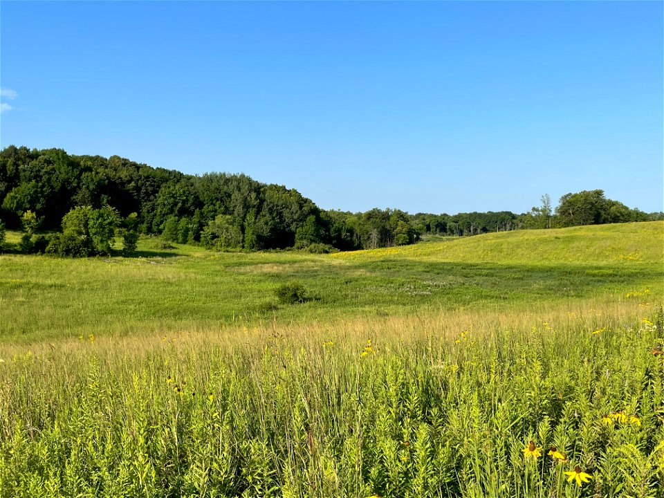 Crow Wing River park Minnesota 2022 Aug