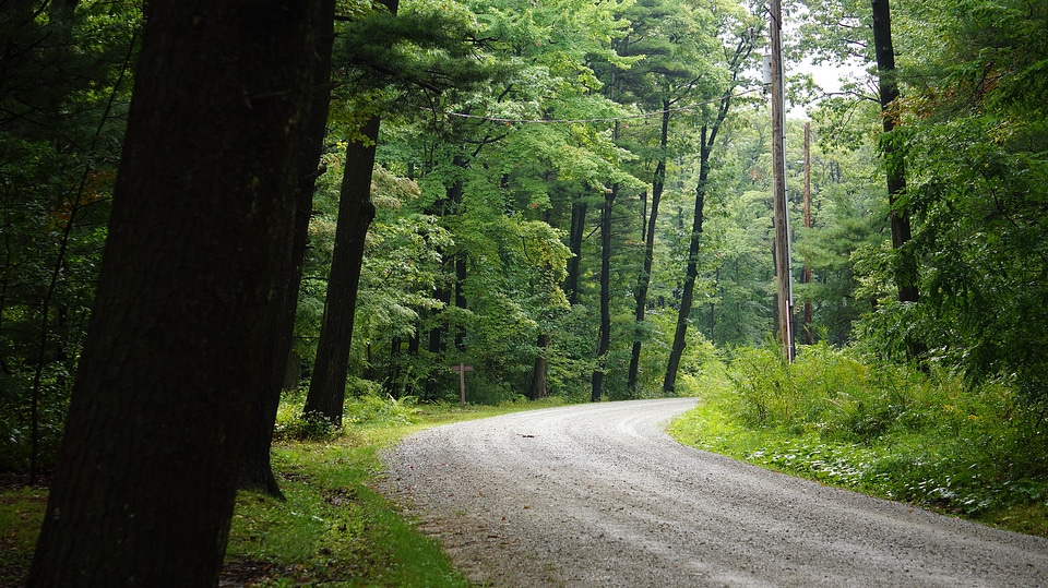 Laurel Summit State Park