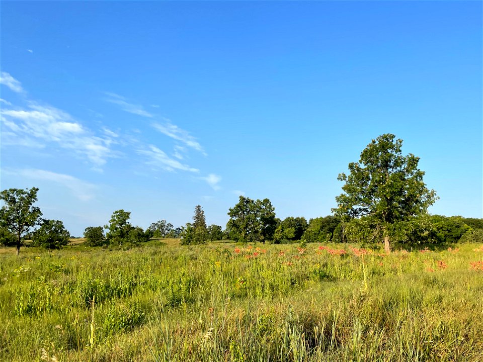 Park near Crow Wing River MN 2022 Aug