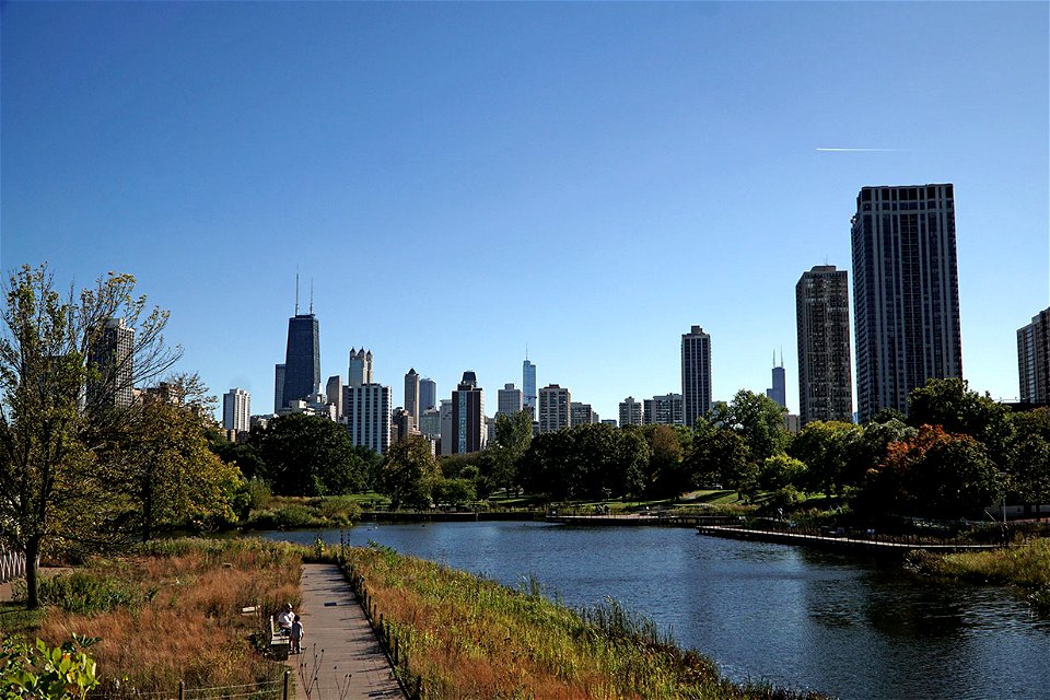 Chicago Skyline