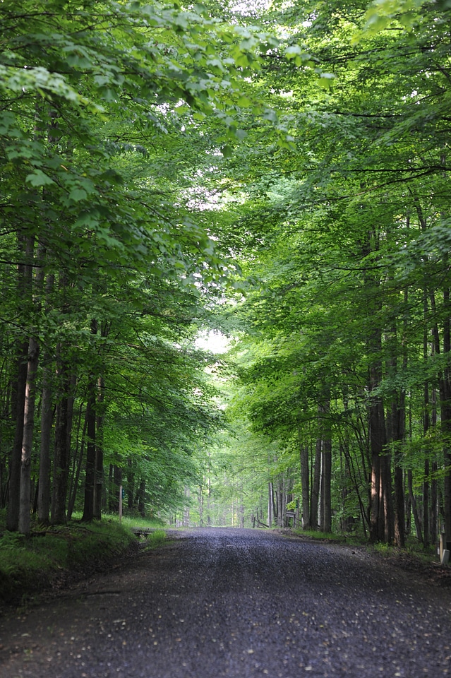 Sand Run Lake Trail - Canaan Valley