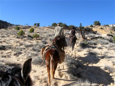 FIAHorsepacker-GrandStaircaseNM-001