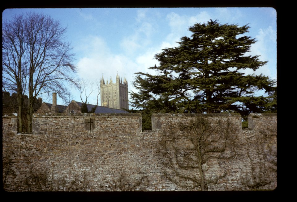 Wells Cathedral