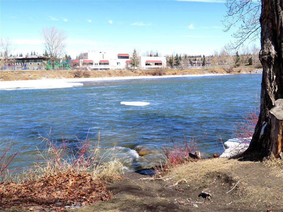 Ice floes in the River Bow