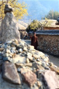 IMG_0533