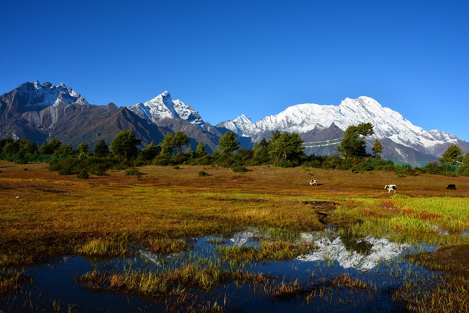 Ranch tibet the scenery