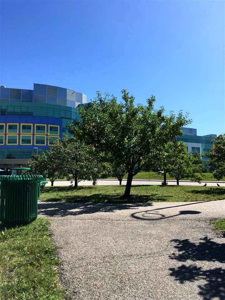 Children's Hospital in Calgary Canada