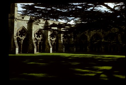 Salisbury Cathedral Close