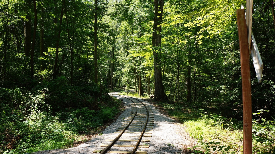 Lake Trail Burke Lake Park Virginia