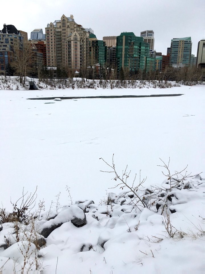 A slice of river pushes through the ice