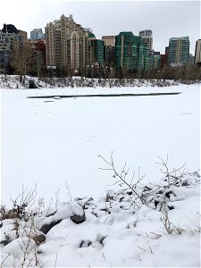 A slice of river pushes through the ice photo