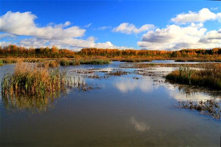 Siikalahden piilokojun edusta