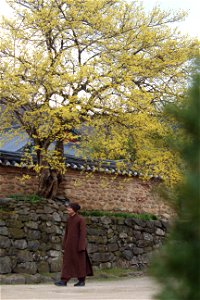 IMG_0130