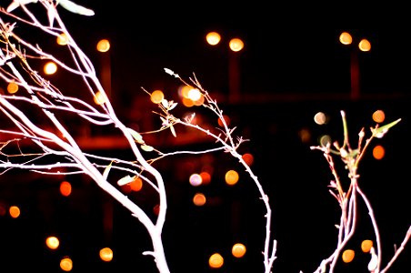 _dsc1561-1_23903679784_o -