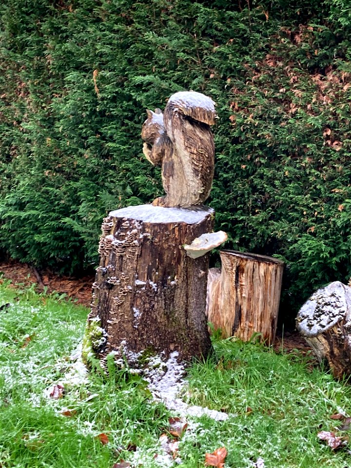 Wood Art at Hayeswater Centre, Urmston