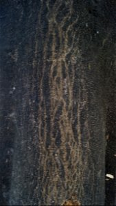 Foto 9.