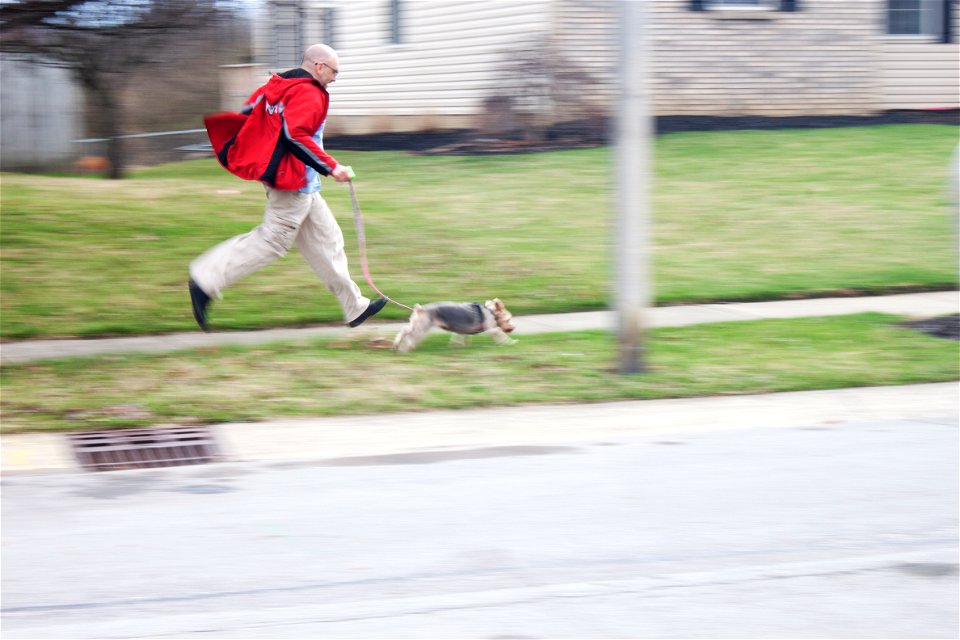 P4_Panning_5_Collins